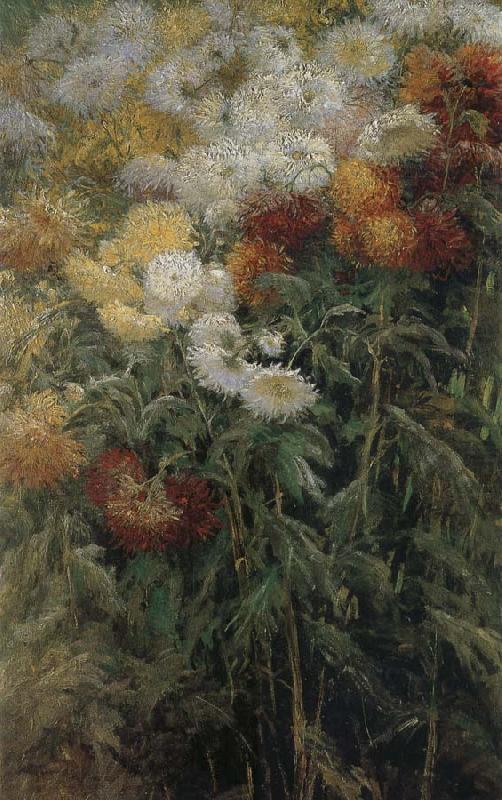 Gustave Caillebotte The chrysanthemum in the garden oil painting picture